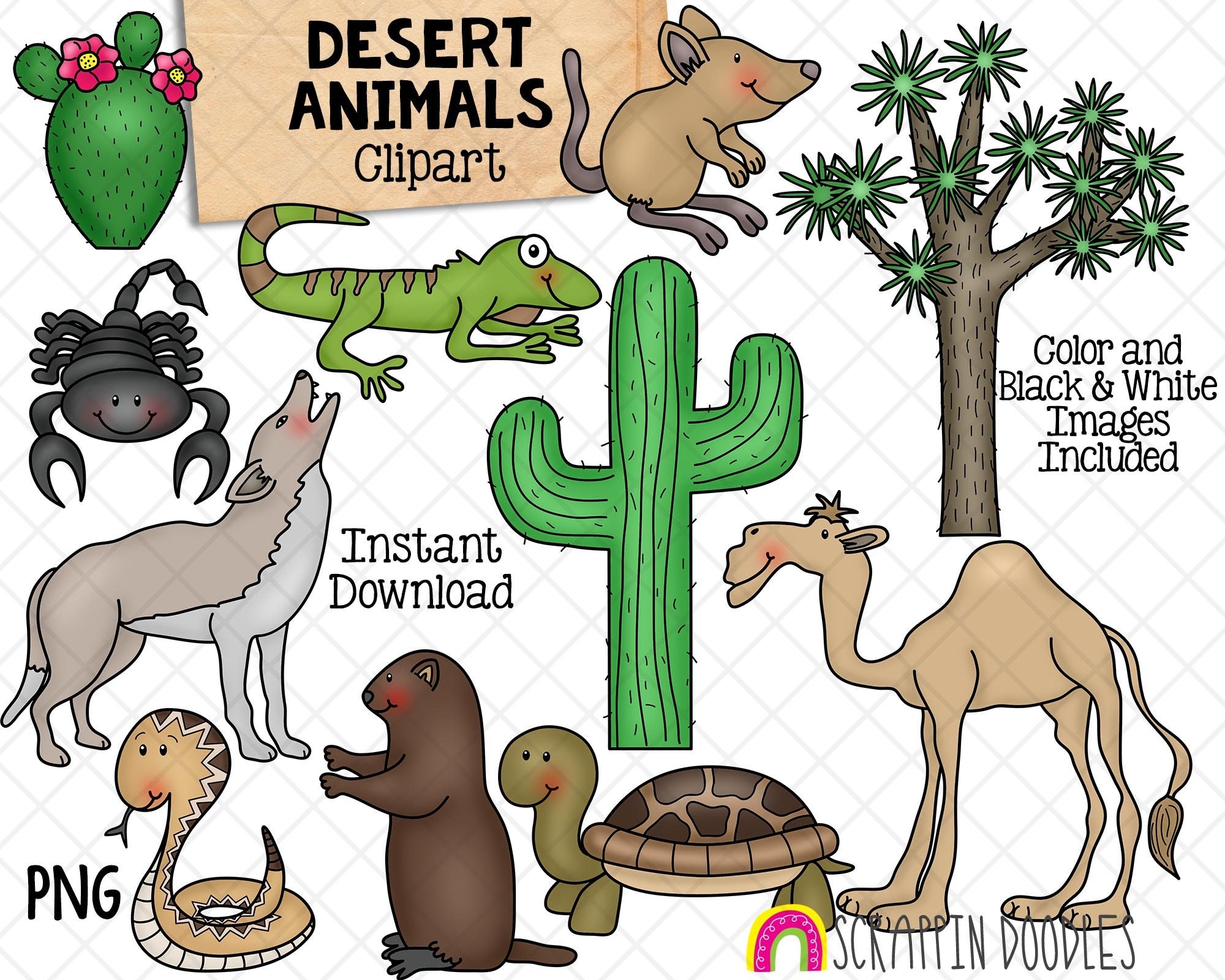 Desert Animals Clipart Scorpion Camel Cactus Joshua Tree Commercial Use Etsy