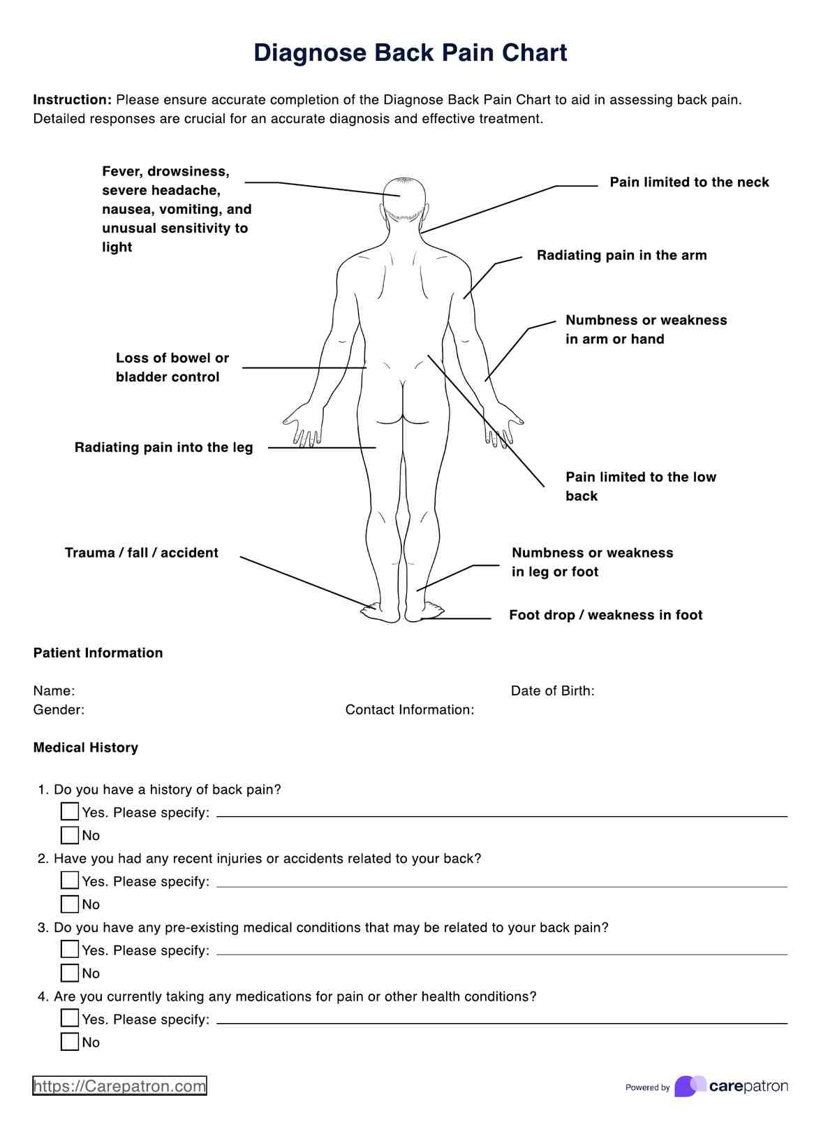 Diagnose Back Pain Charts U0026 Example Free PDF Download