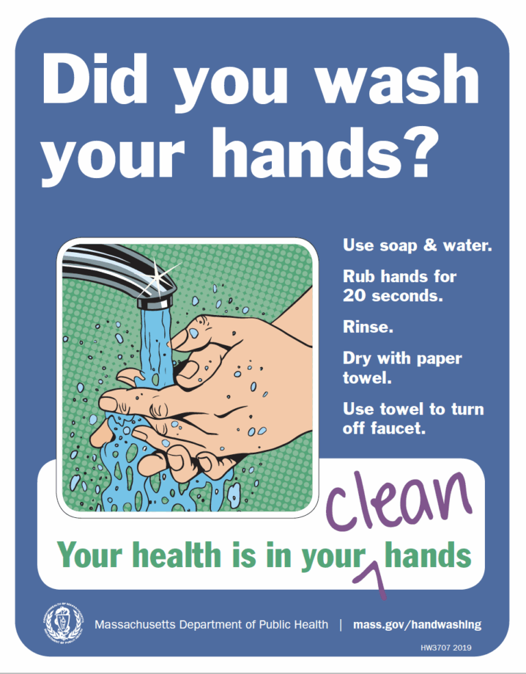 Did You Wash Your Hands Poster Multiple Languages