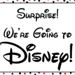 Disney World Surprise Announcement Sign With Countdown And Fake 