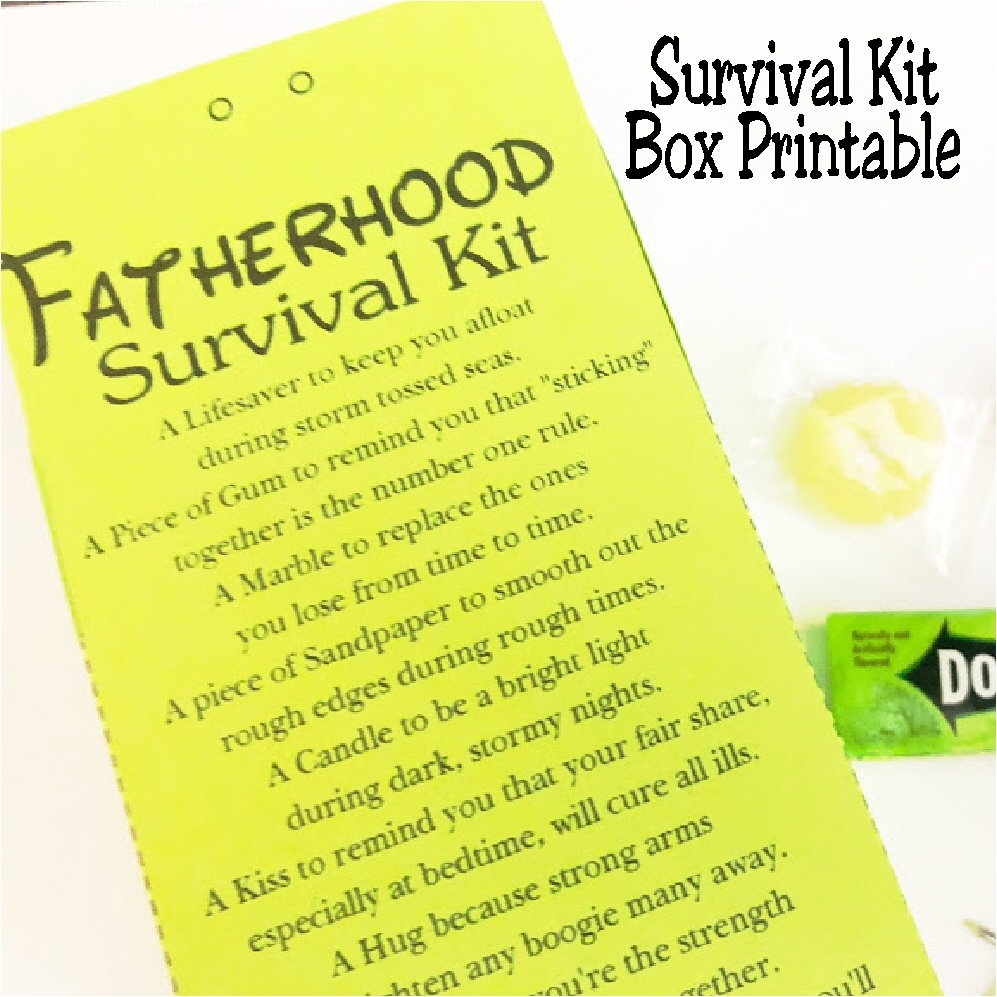DIY Party Mom Fatherhood Survival Kit Perfect For A Father s Day Gift