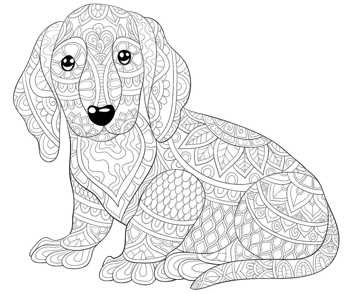 free printable pictures of dogs