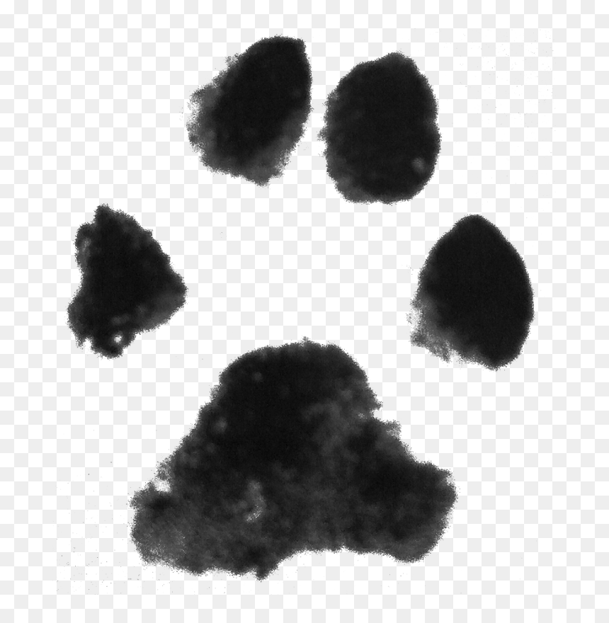Dog Paw Print Clipart Clipart Free Library Image Dog Paw Print 
