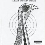 Downloadable Turkey Targets Worksheets Library
