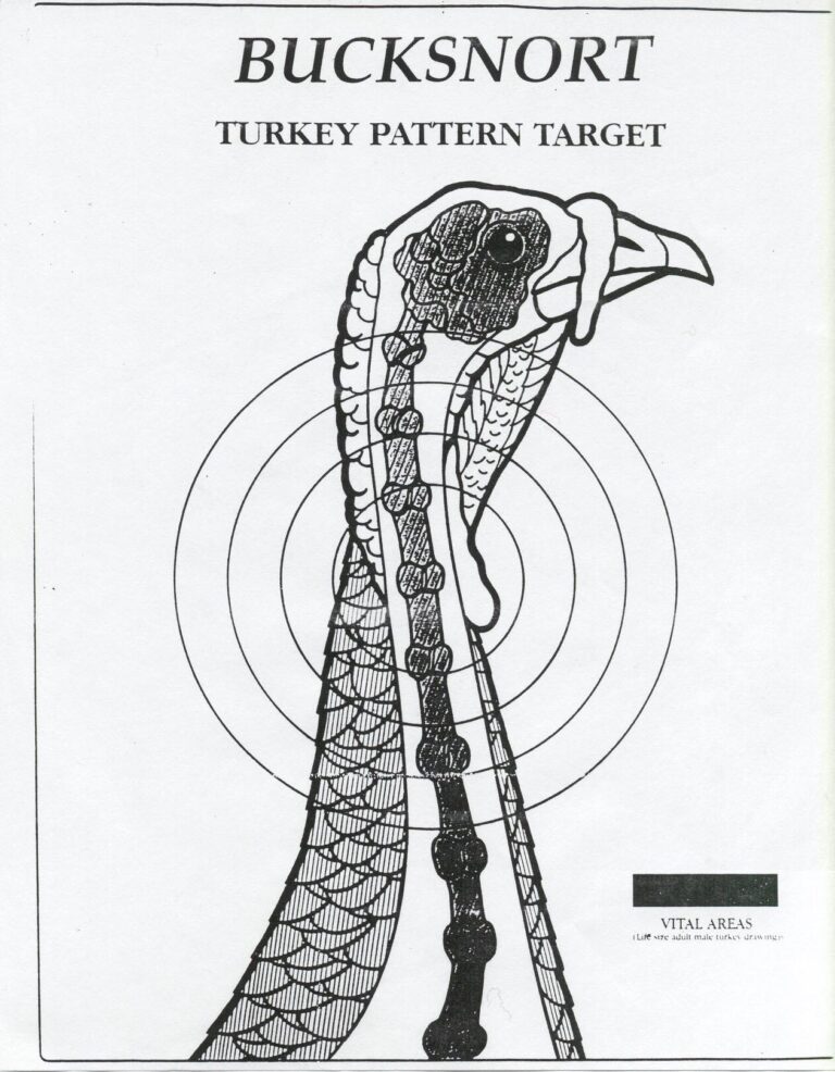 Downloadable Turkey Targets Worksheets Library