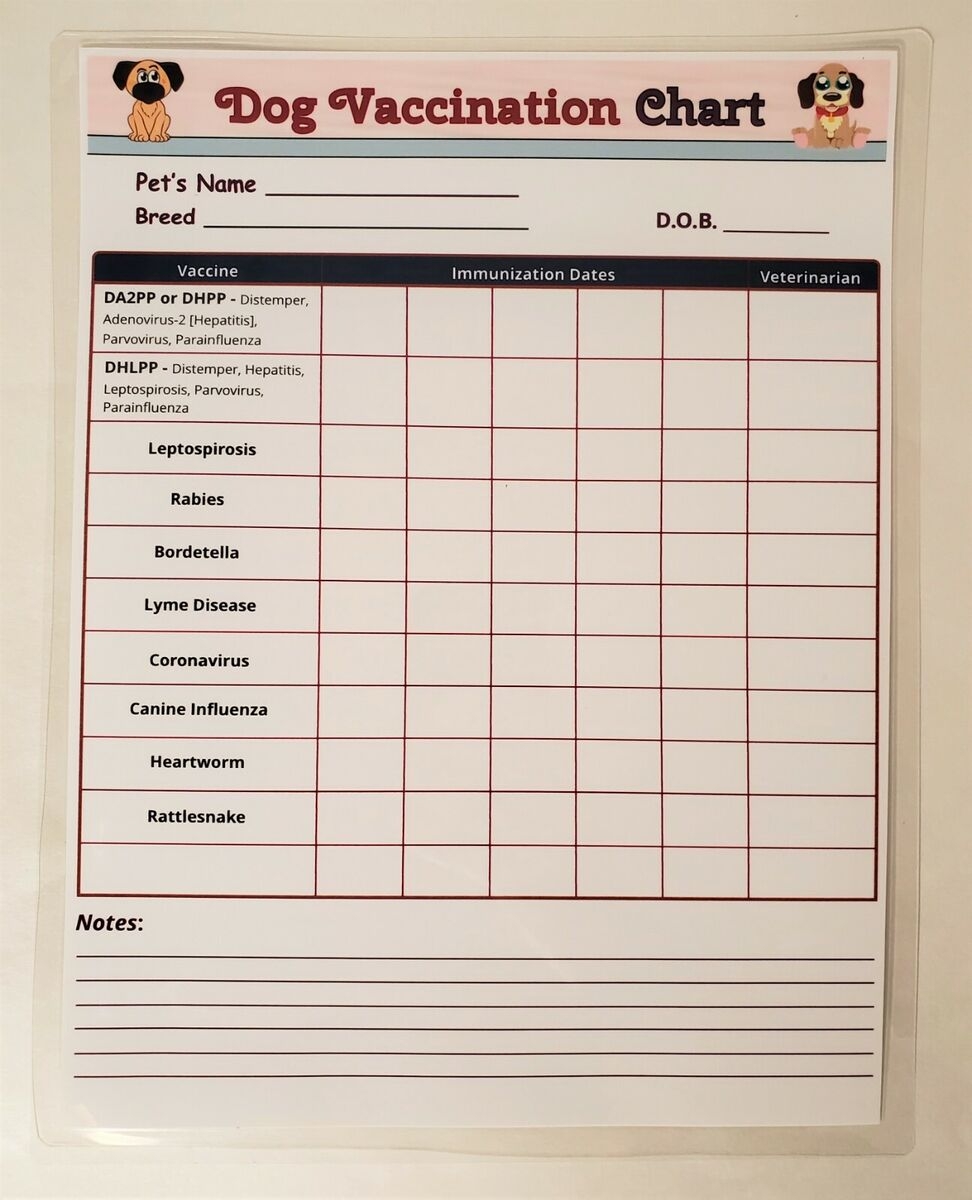 printable dog vaccination record