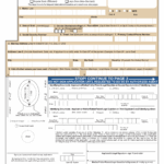 DS 11 Passport Application Form 2024 2025 Fill U0026 Download PDF Guru