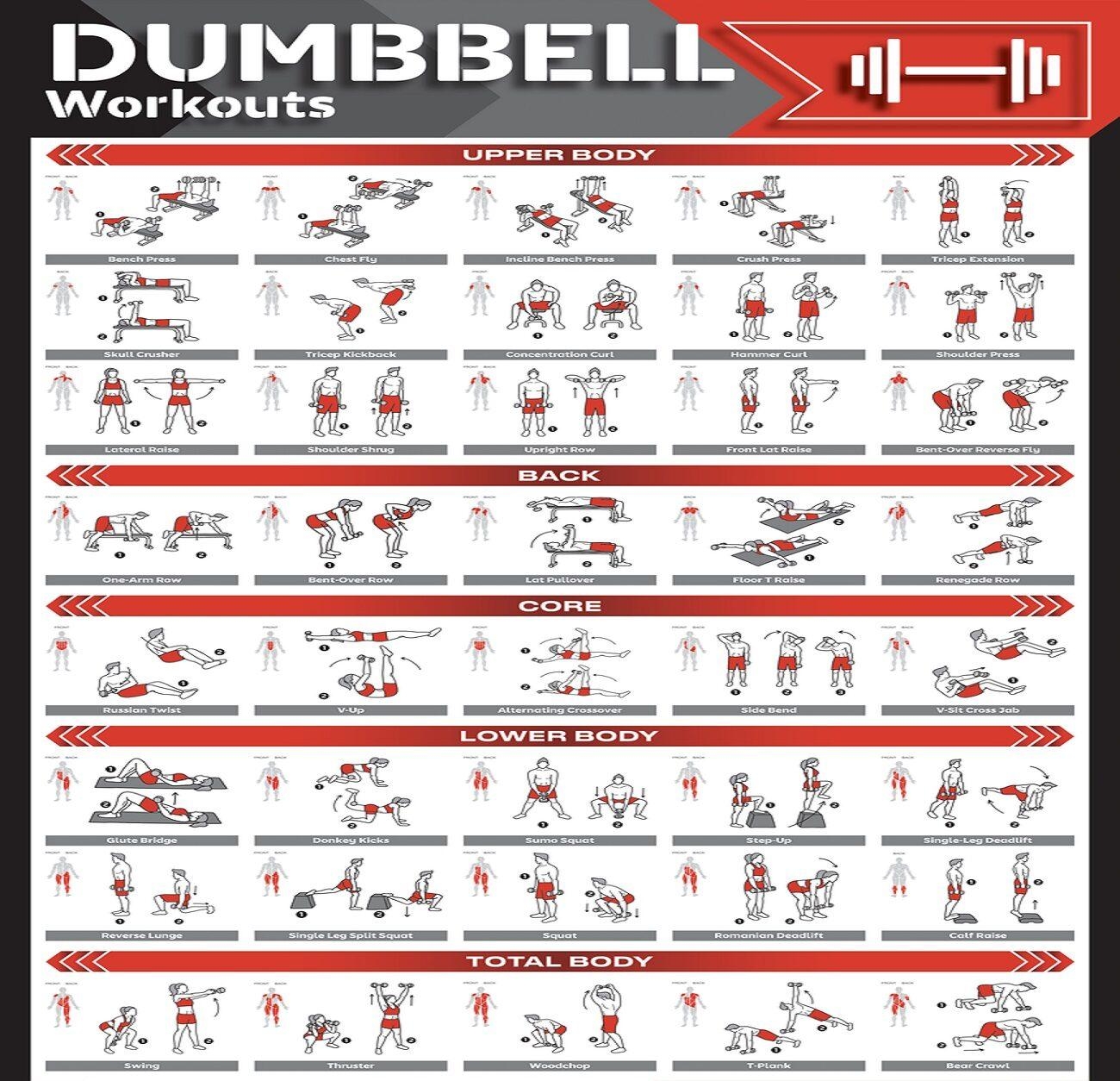 dumbbell workout chart printable