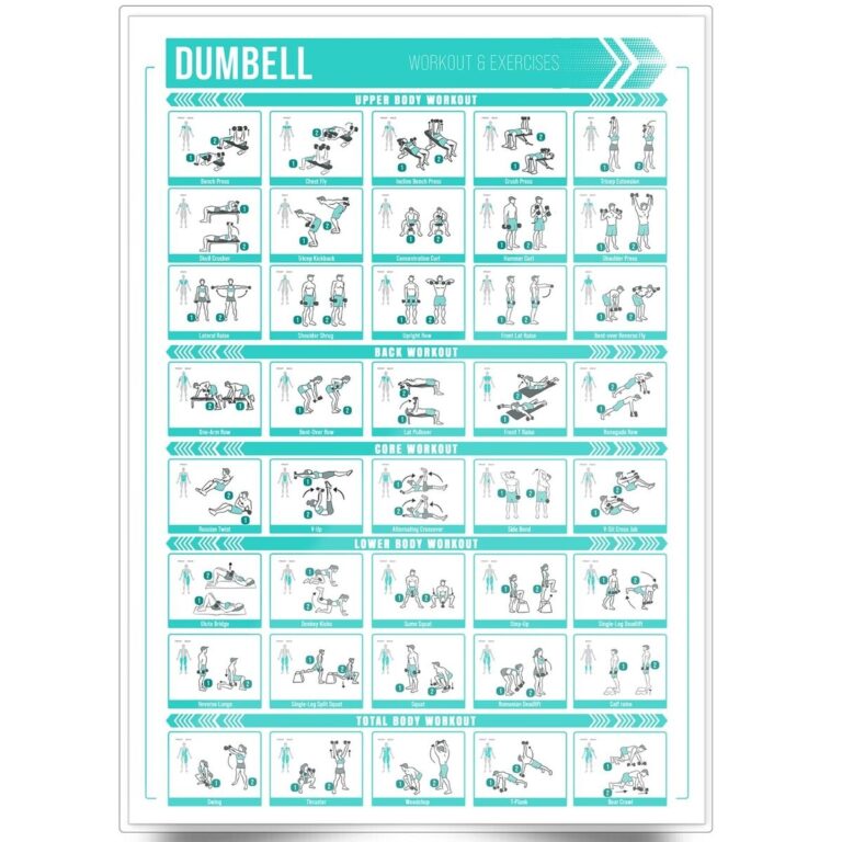 Dumbbell Workout Chart Poster Training Exercise Print Perfect To Build Muscle
