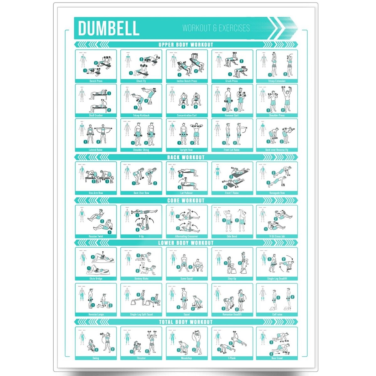 Dumbbell Workout Chart Poster Training Exercise Print Perfect To Build Muscle