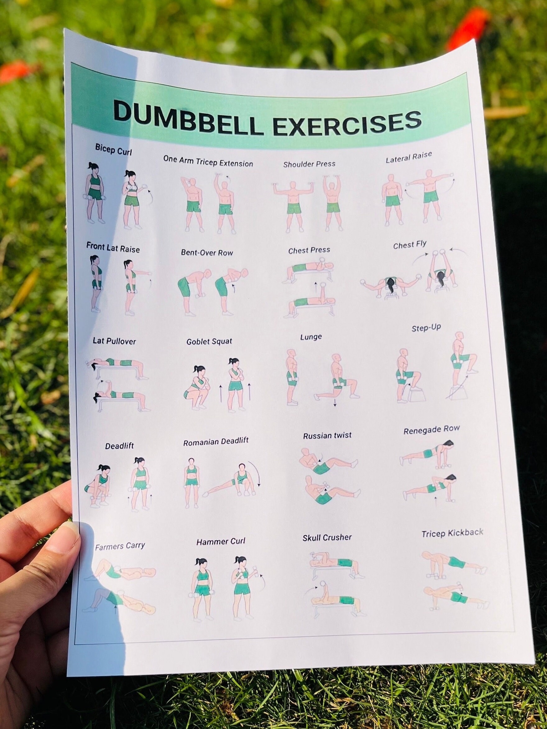 dumbbell workout chart printable pdf
