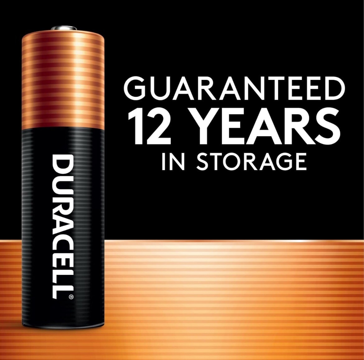 Duracell Coppertop AA Batteries 28 Count Pack Double A Battery 