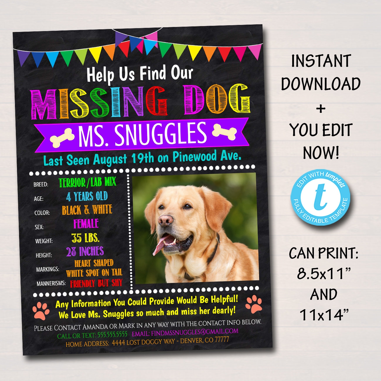 EDITABLE Missing Dog Flyer And Poster Template Printable Lost Dog Pet Flyer INSTANT DOWNLOAD Colorful Bright Attention Grabbing Template Etsy