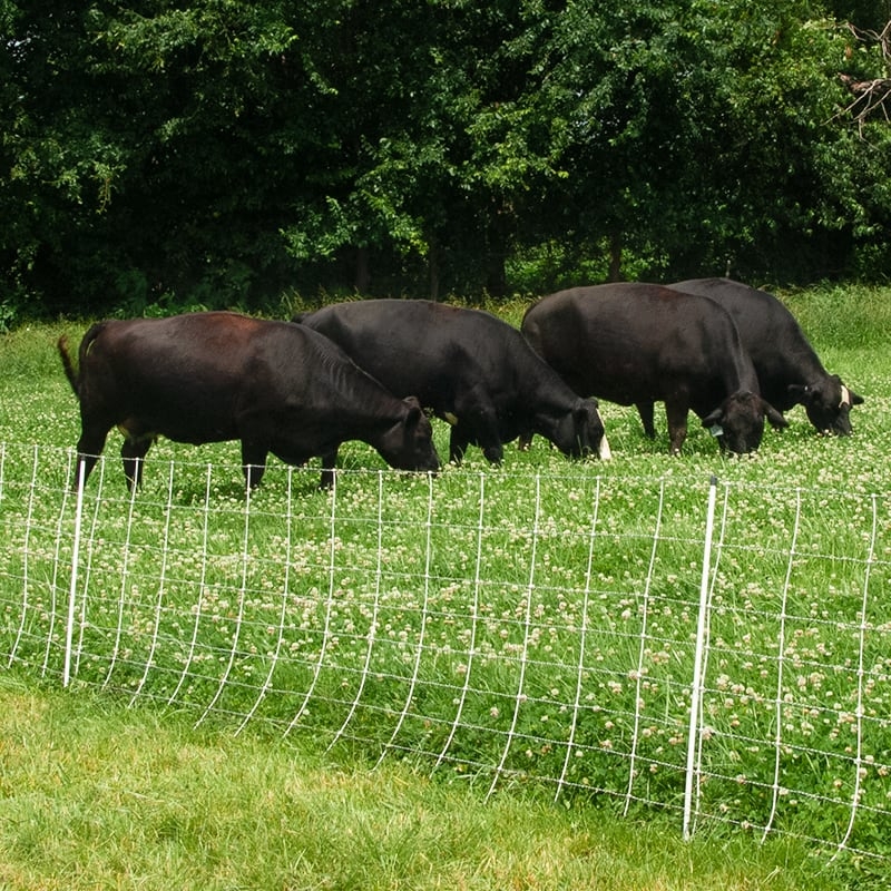 free printable electric fence for cattle