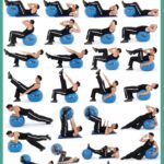 Exercise Charts For Stability Ball Balance Ball Swiss Ball And Bosu HubPages