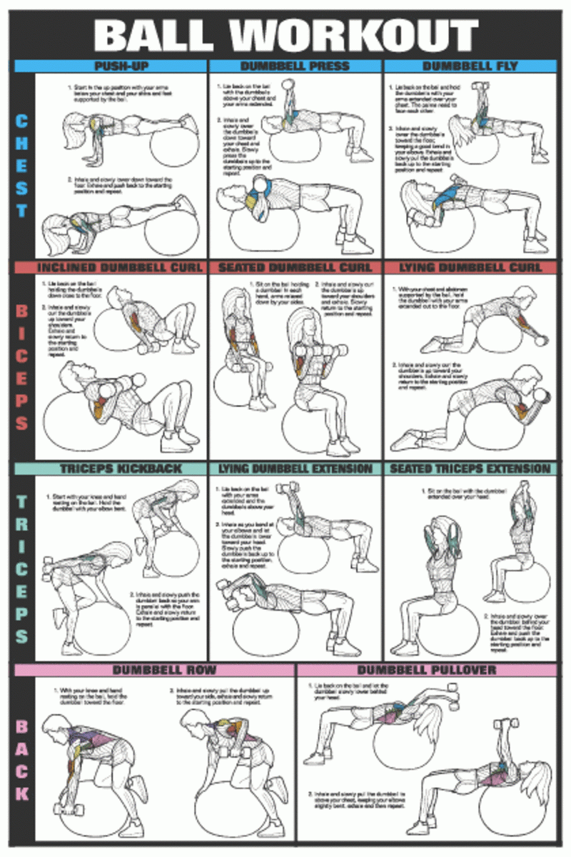 printable exercise ball workouts
