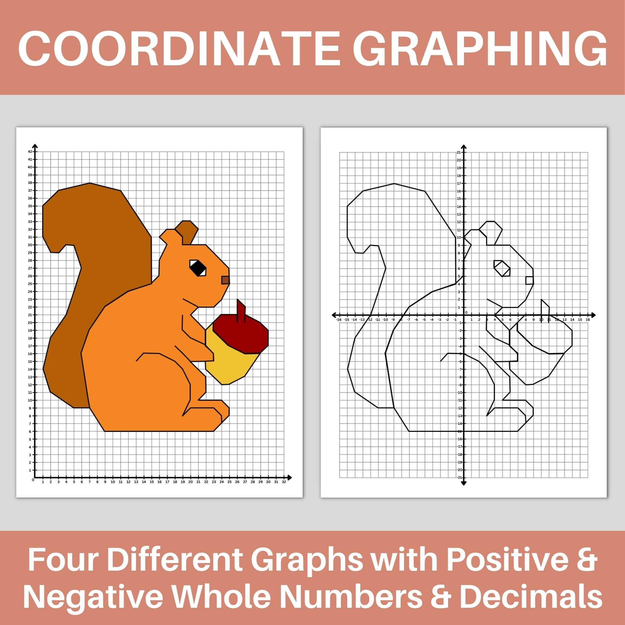 Fall Squirrel Coordinate Graphing Mystery Picture Autumn Math 