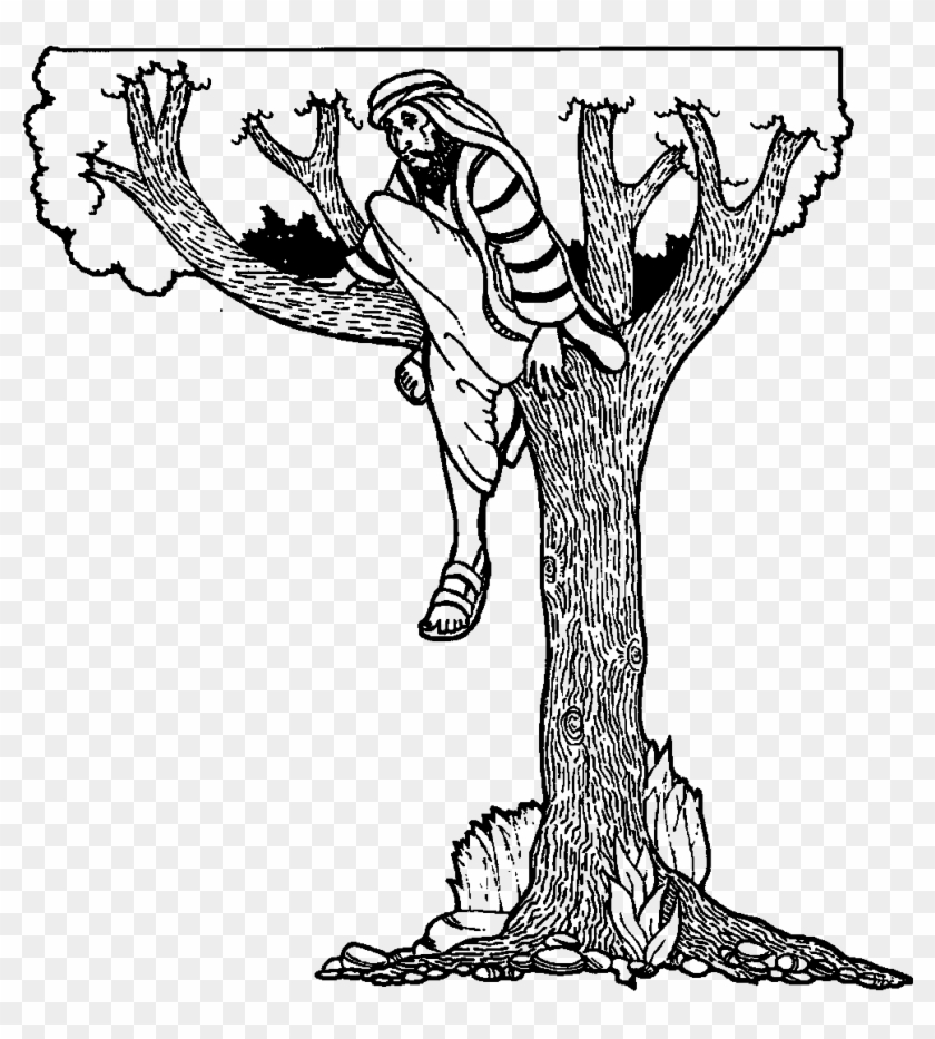 zacchaeus coloring page printable