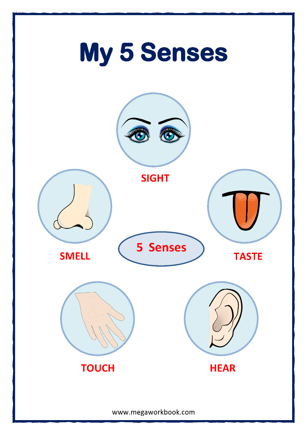 five senses activities for preschool printables