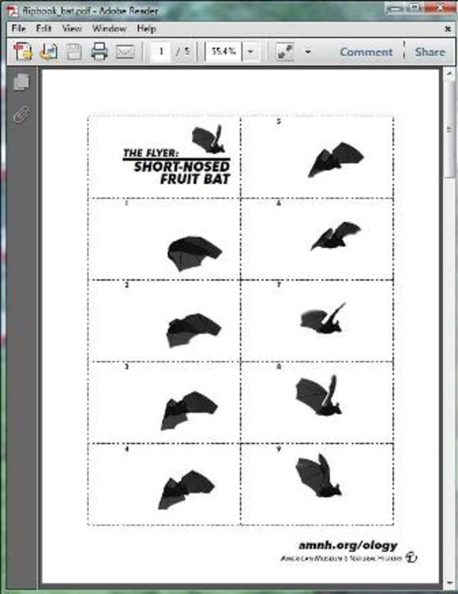 printable flip book animation
