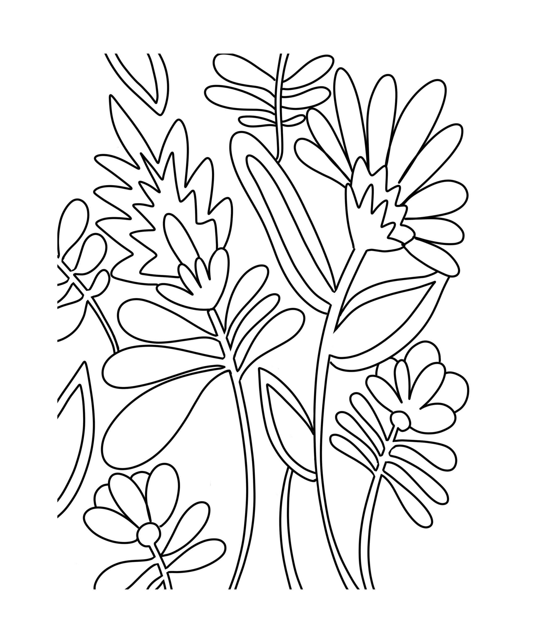 Floral Paint By Number A Colorful DIY Oh Yay Studio Color 