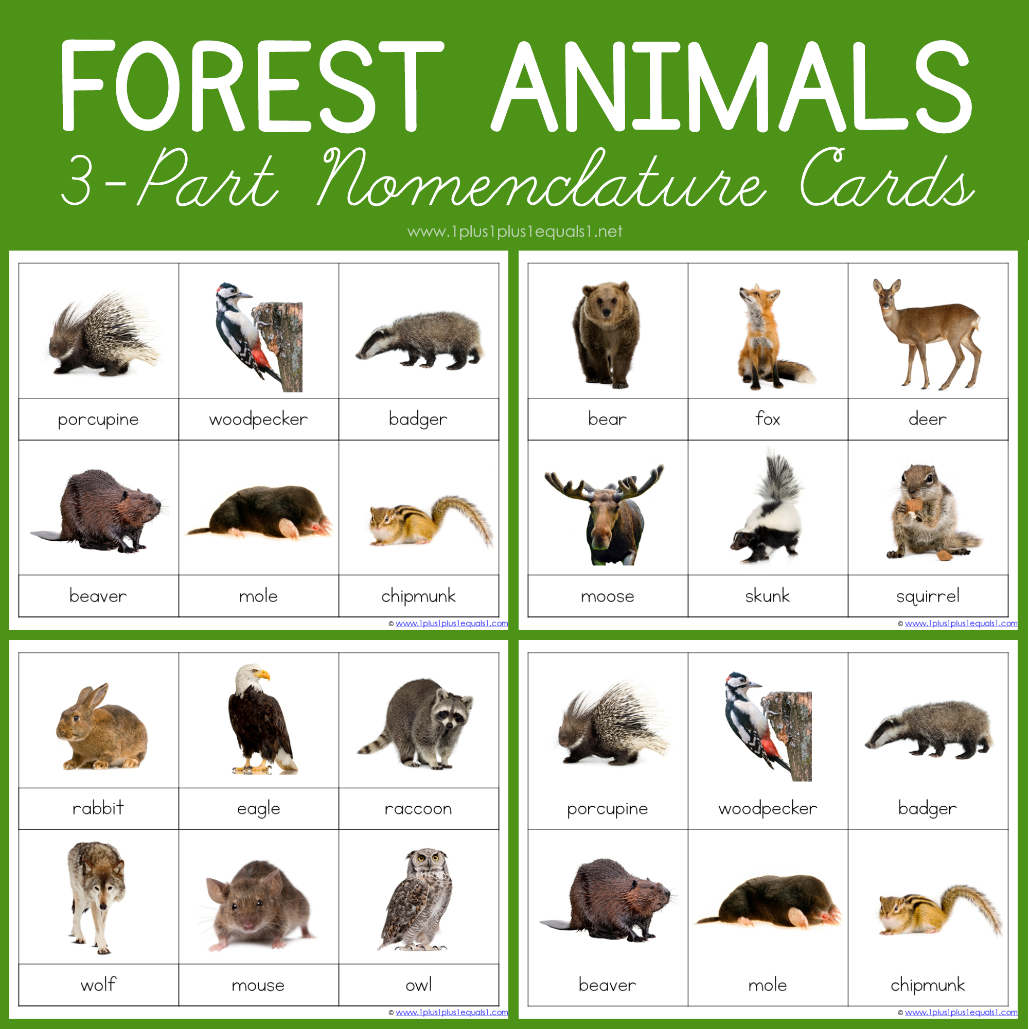 Forest Animals Montessori Printables FREE 3 Part Cards Worksheets Library