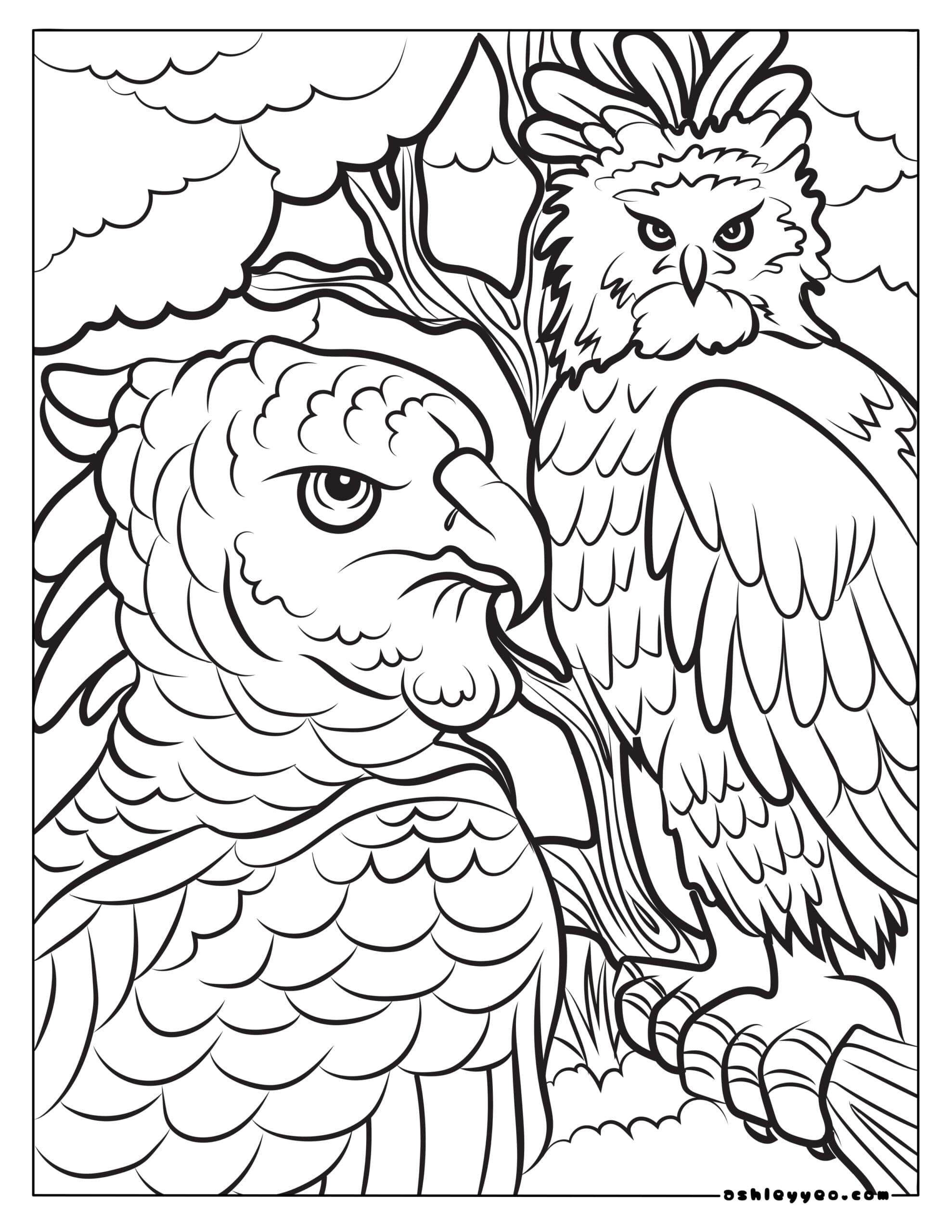 printable animal coloring pages for adults