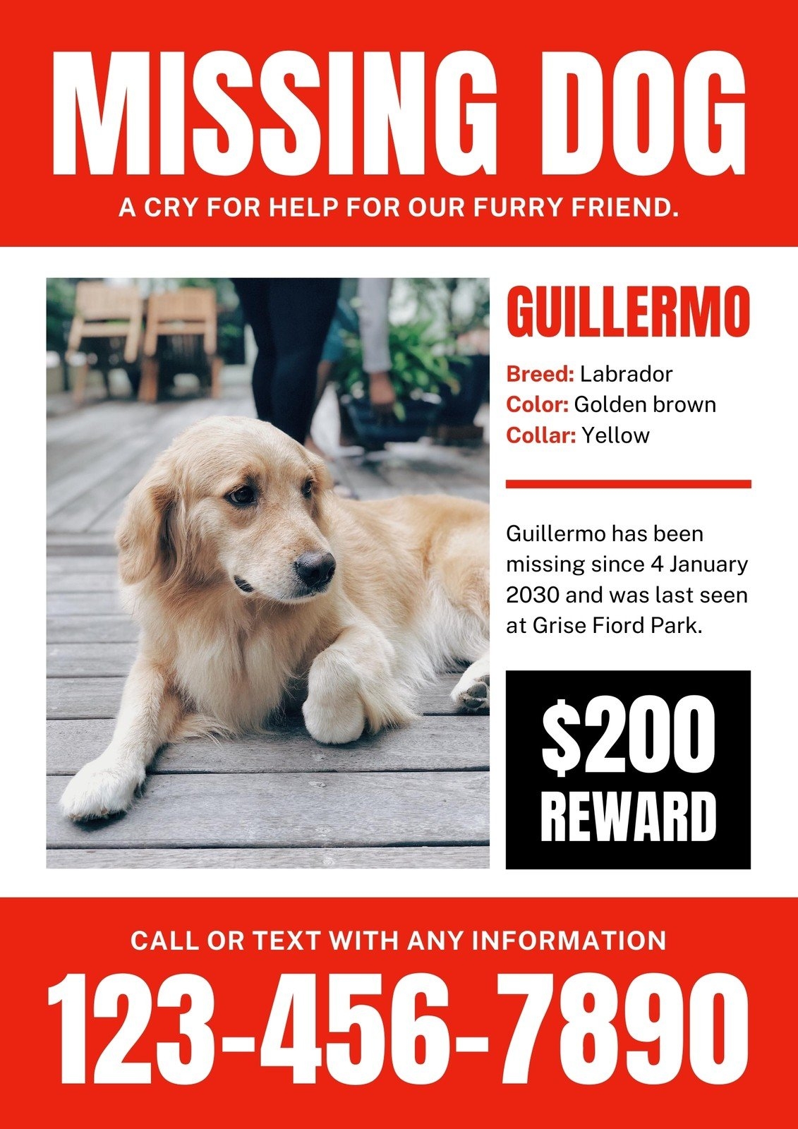 Free And Customizable Lost Dog Templates Canva