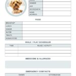 Free And Customizable Pet Templates
