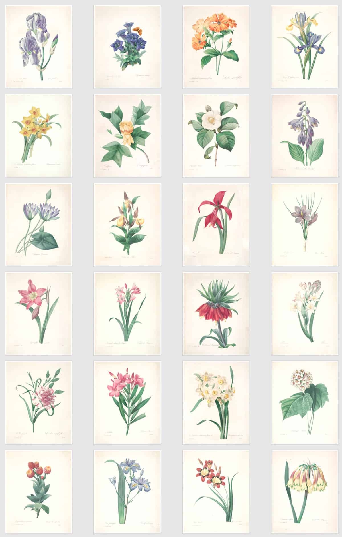 free stamped printable botanical images