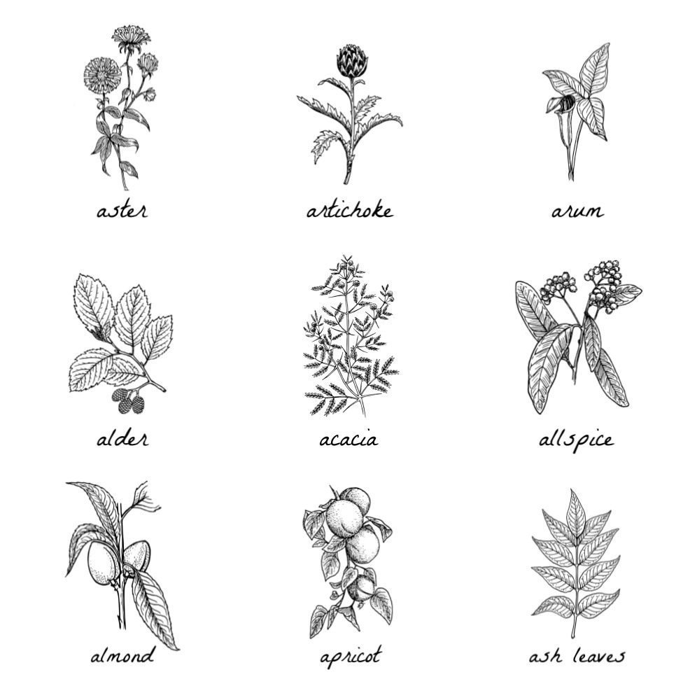 Free Botanical Prints Taryn Whiteaker Designs