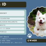 Free Custom Printable Dog ID Card Templates Canva