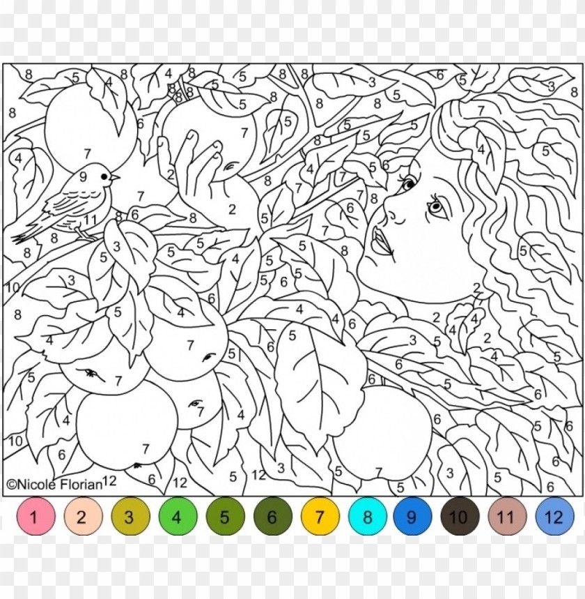 Free Download HD PNG Difficult Color By Number Coloring Pages PNG Transparent With Clear Background ID 106750 TOPpng