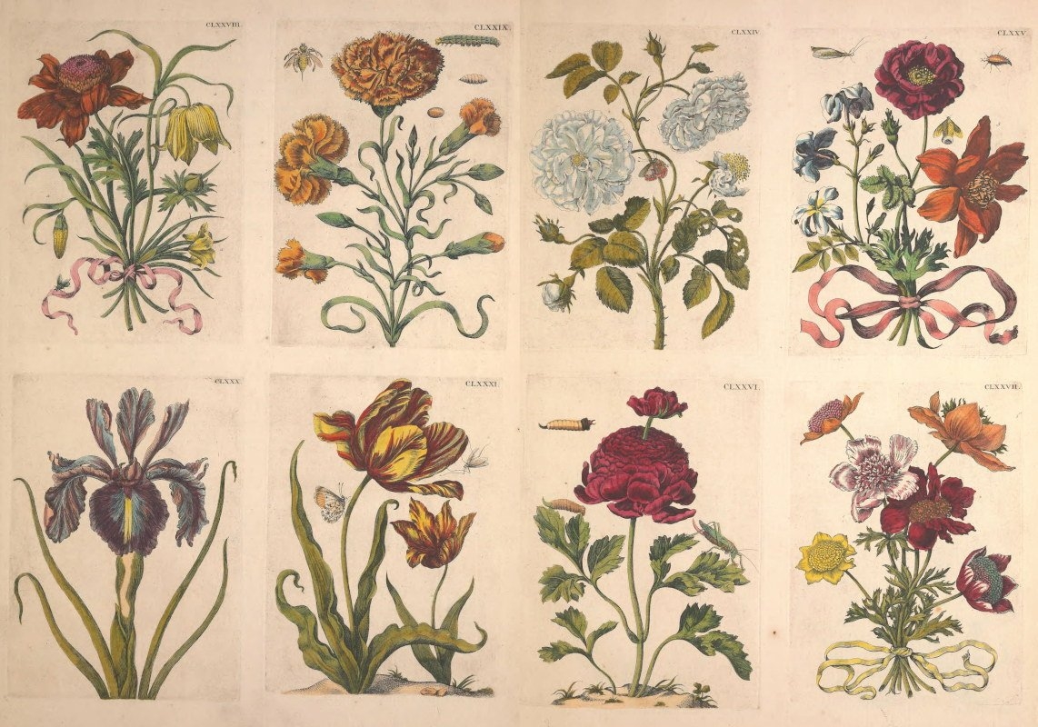 Free Floral Vintage Printables The Art Scavenger