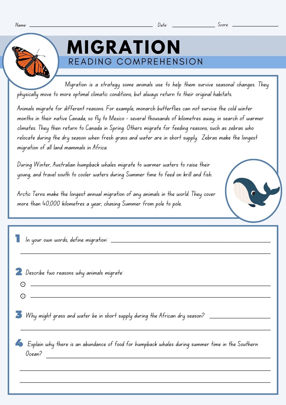 Free Printable 3rd Grade Reading Worksheet Templates Canva
