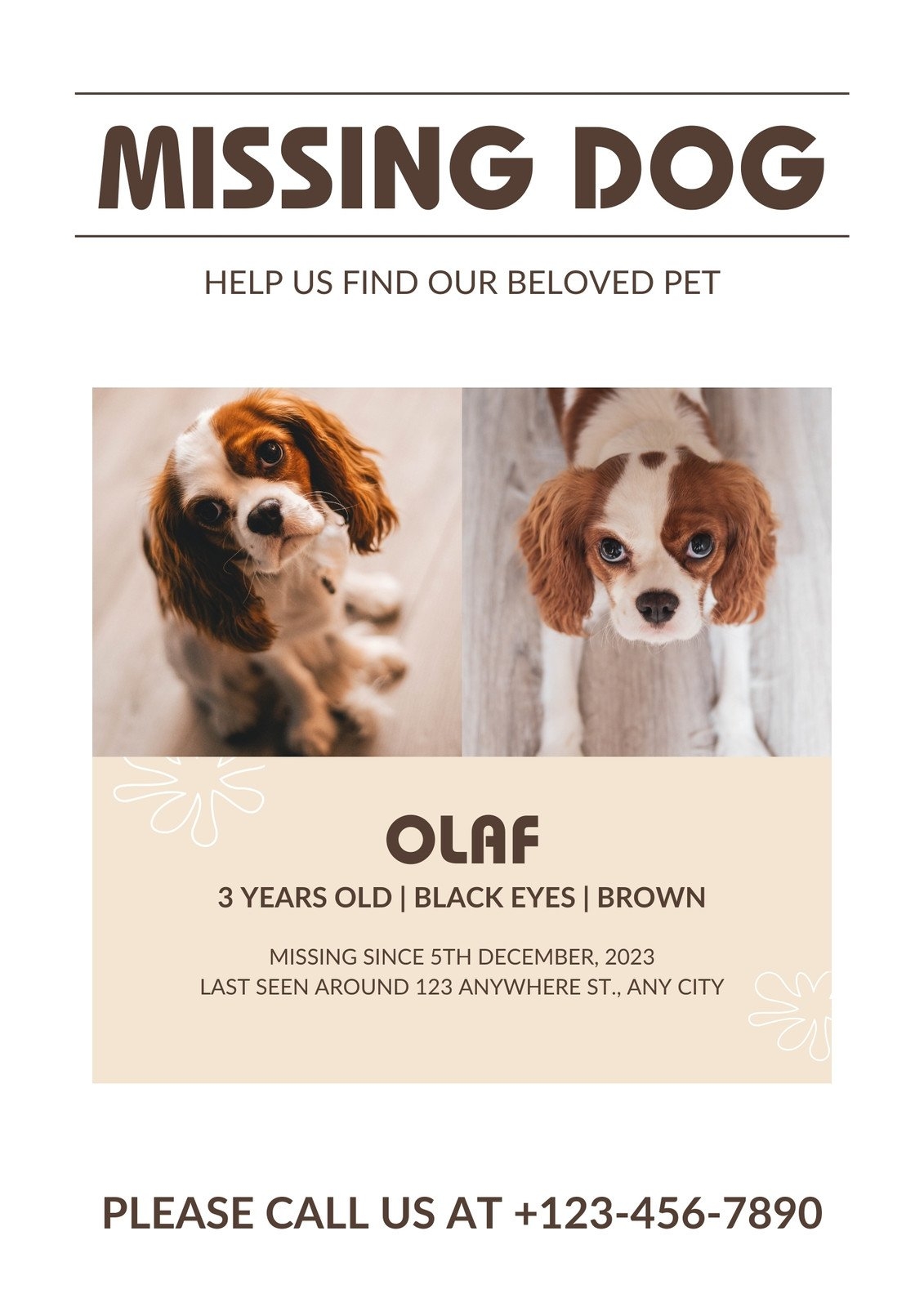 Free Printable Customizable Lost Dog Poster Templates Canva