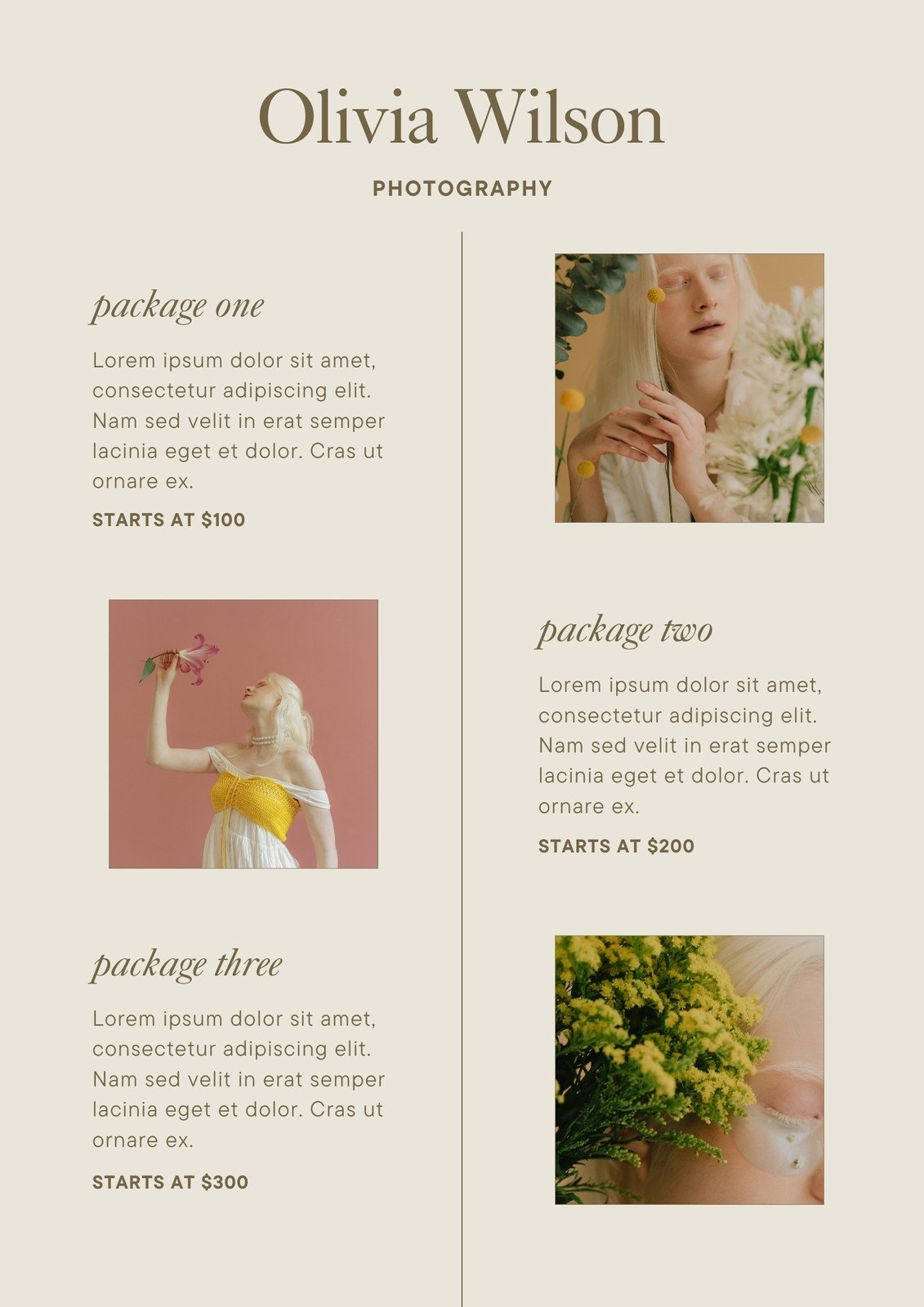 Free Printable Customizable Photography Flyer Templates Canva