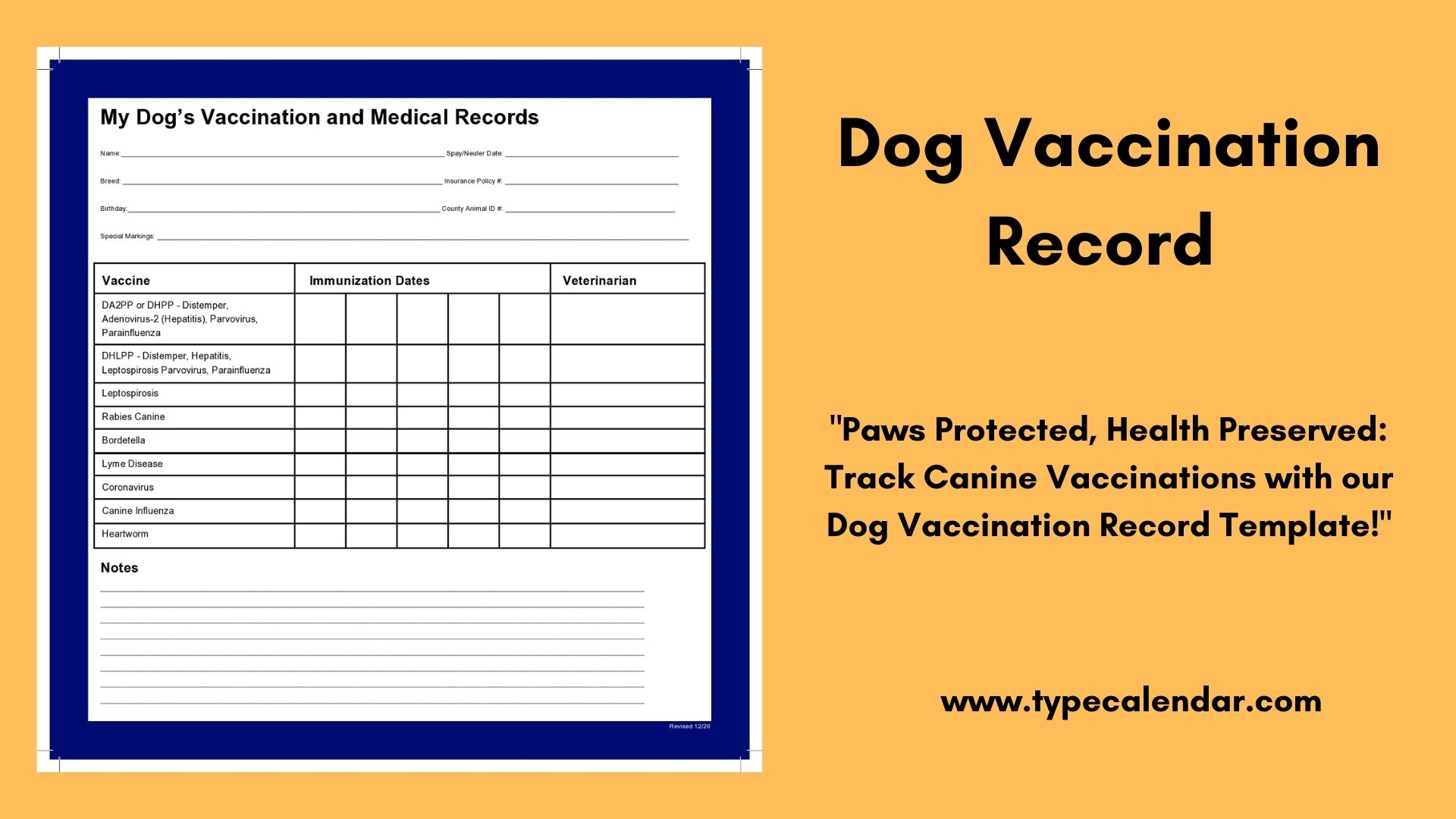 Free Printable Dog Vaccination Record Template Keep Your Pet s 