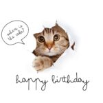Free Printable Funny Birthday Card Templates Canva