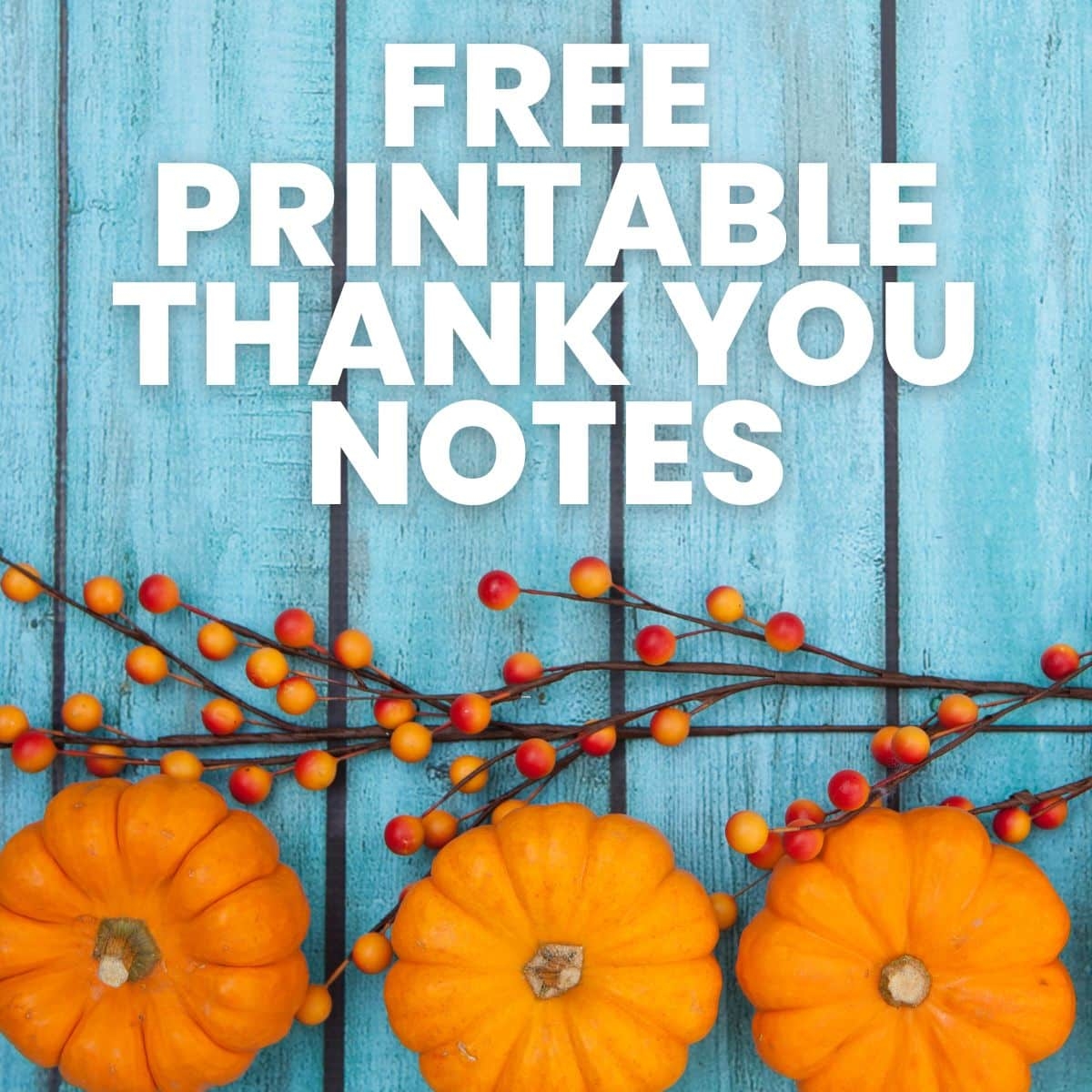 Free Printable Thank You Notes Math U003d Love