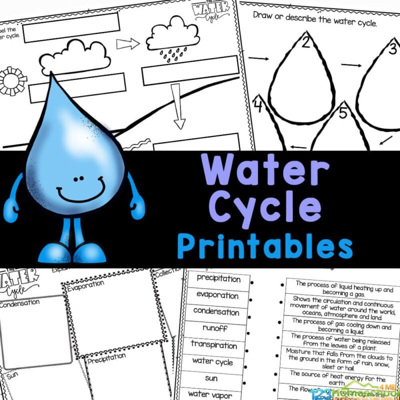 printable science worksheets for first grader