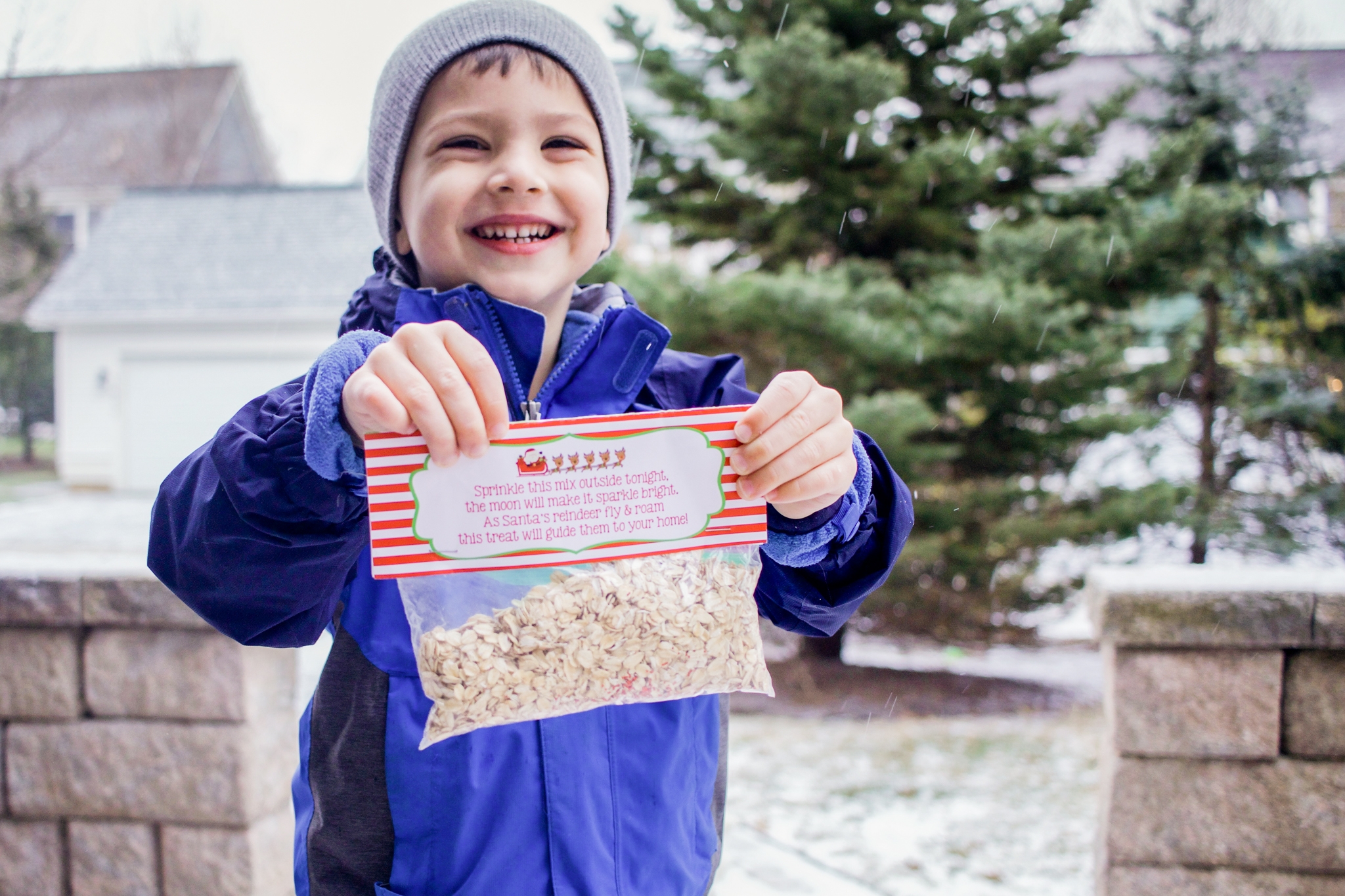 reindeer food bar ingredients printable