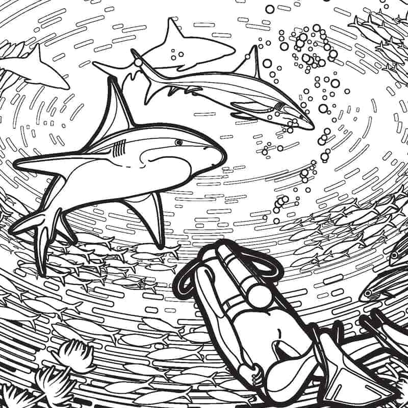 shark coloring pages free printable
