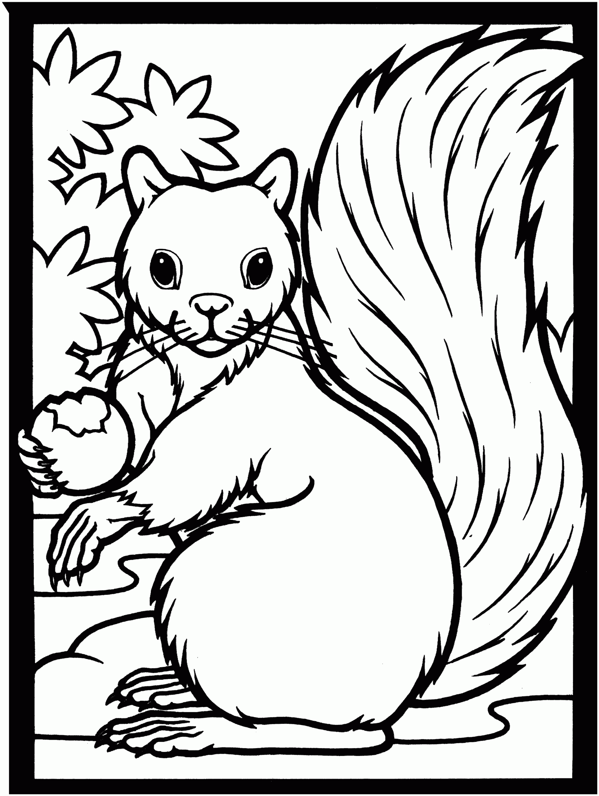Free Squirrel Coloring Pages Free Squirrel Coloring Pages