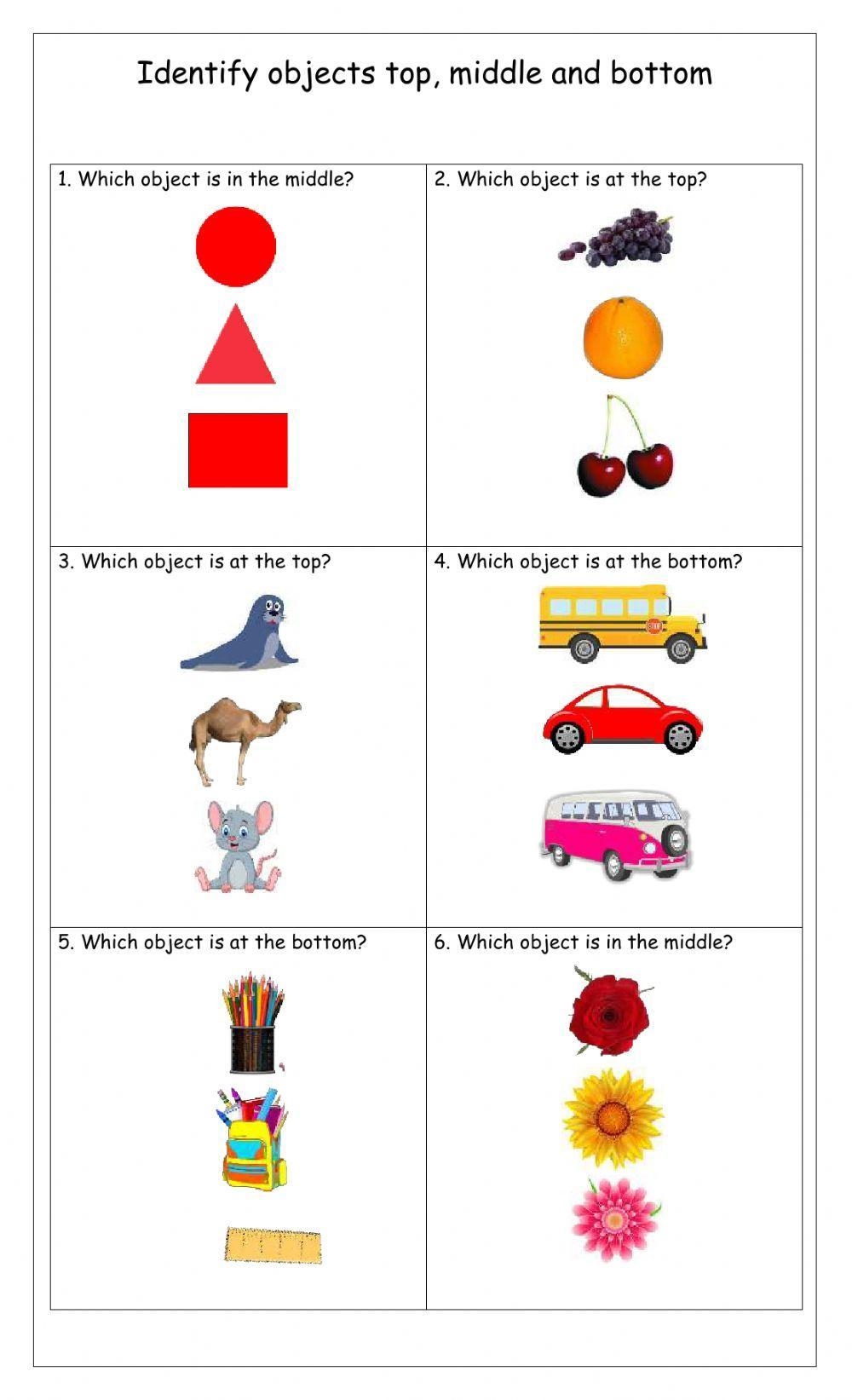 Free Top Middle Bottom Worksheet Download Free Top Middle Bottom 