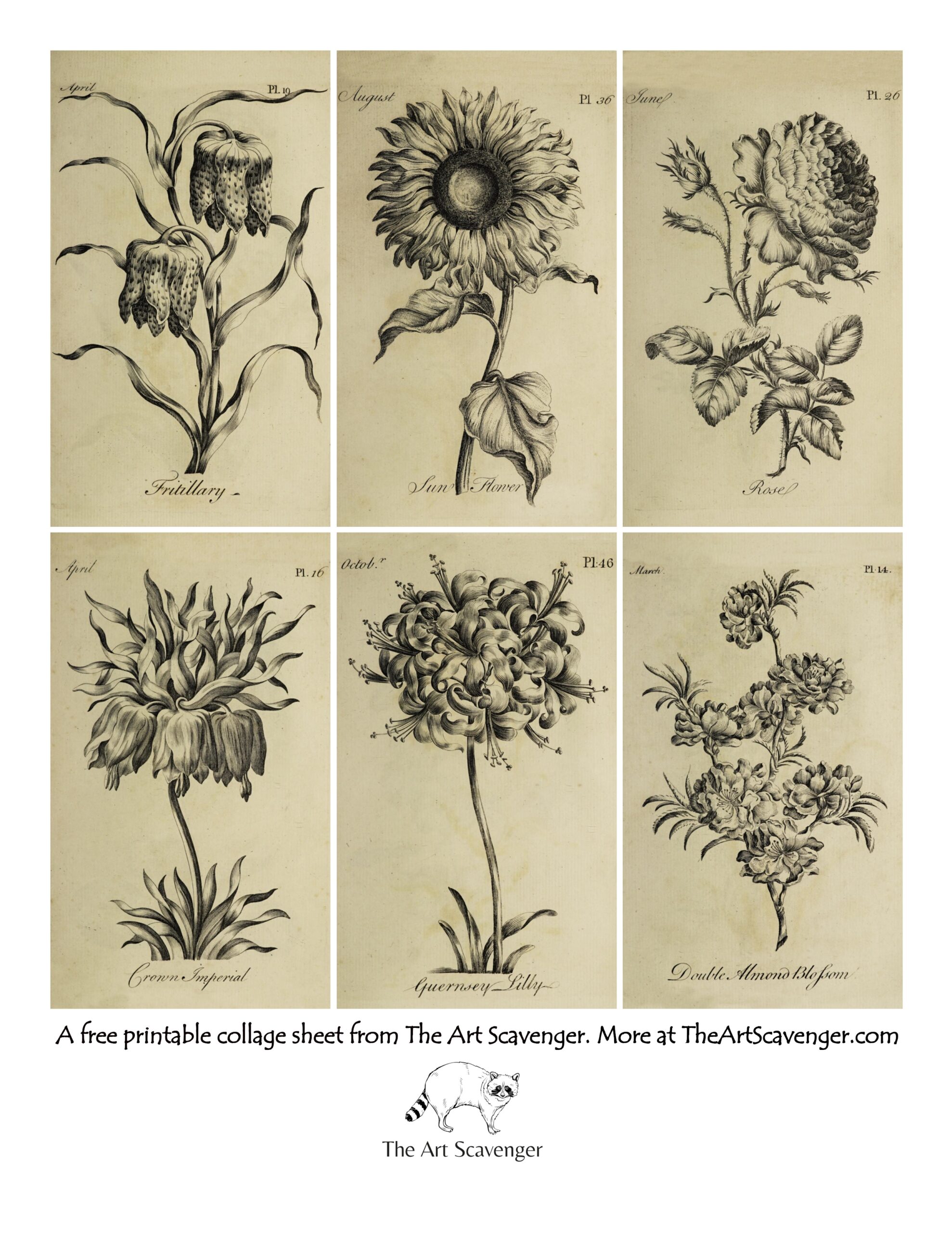 free printable vintage coloring pages