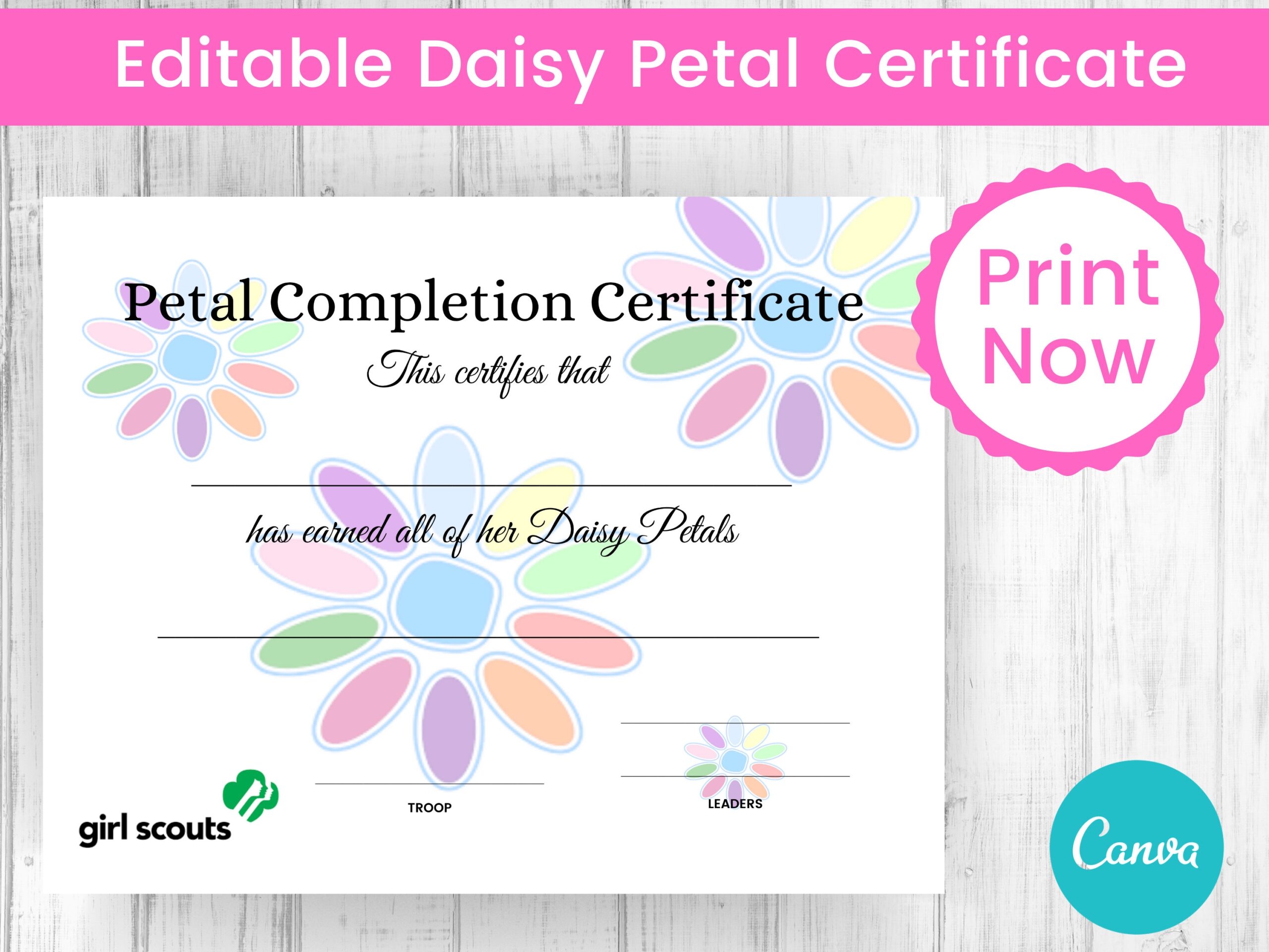 Girl Scout Daisy Petal Completion Certificate Printable Etsy