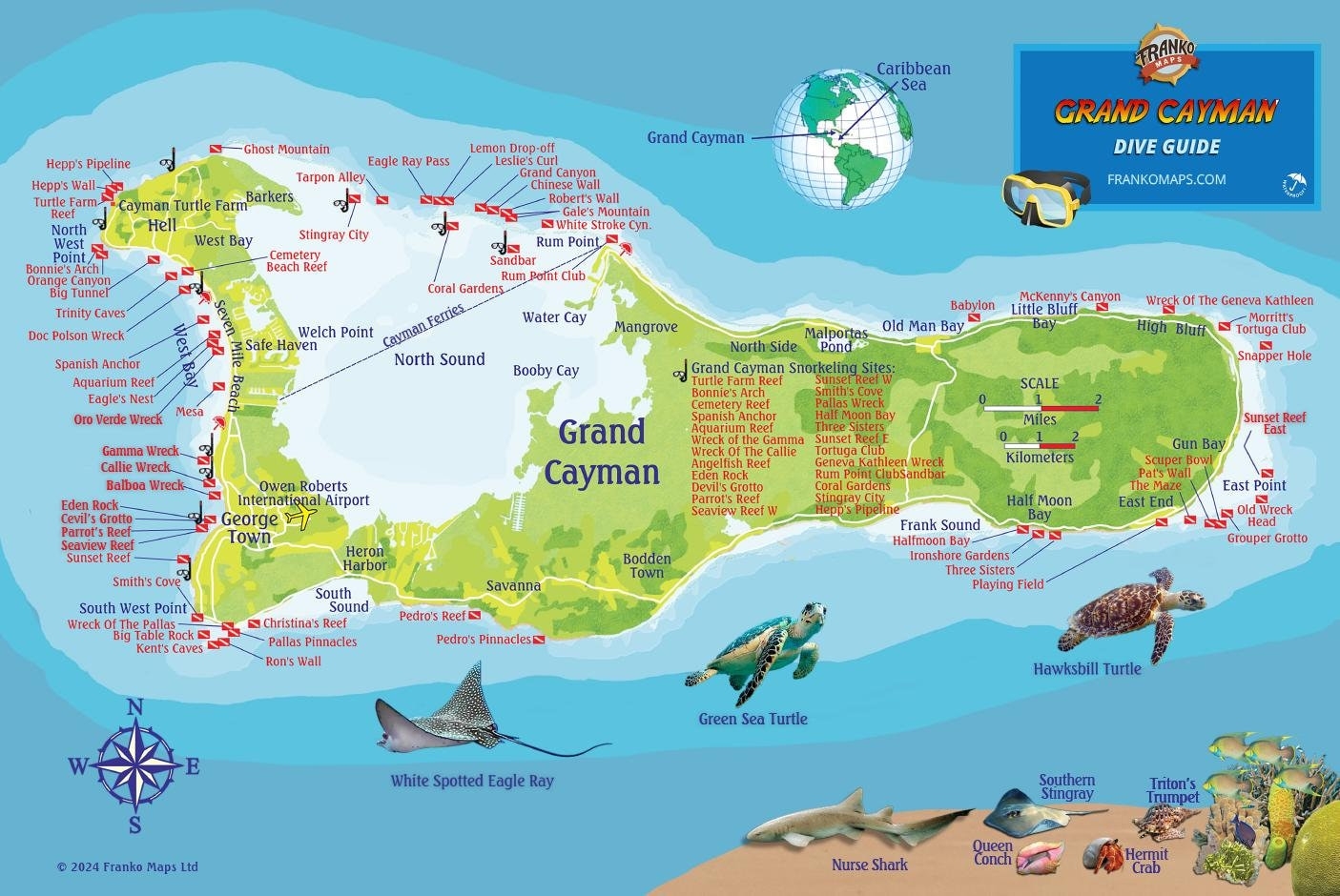Grand Cayman Island Fish U0026 Map Poster