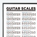Guitar Fretboard Chart Ivideosongs With Fret Guide 24x36 In 