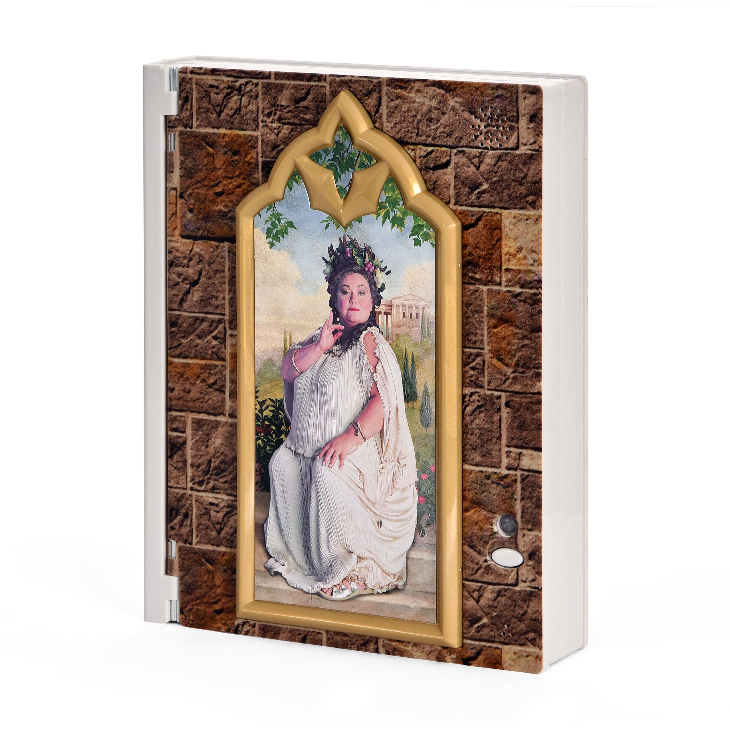 Harry Potter Fat Lady Box With Notepad And Password